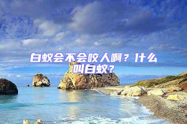 白蟻會不會咬人啊？什么叫白蟻？