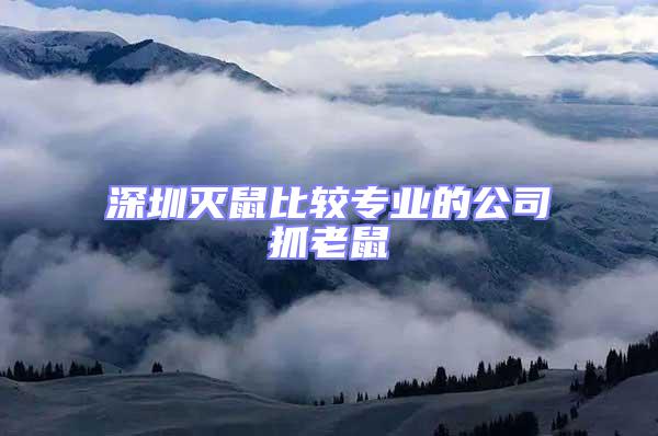 深圳滅鼠比較專業(yè)的公司抓老鼠