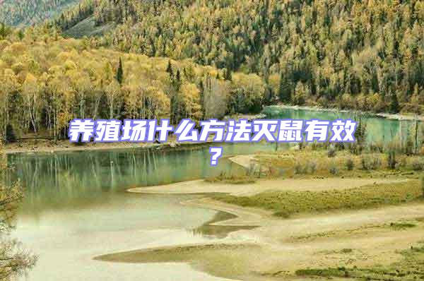 養殖場什么方法滅鼠有效？