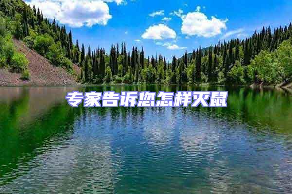 專家告訴您怎樣滅鼠