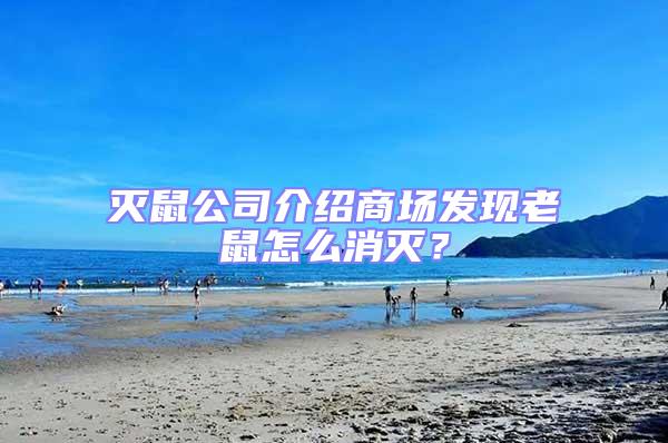 滅鼠公司介紹商場發現老鼠怎么消滅？