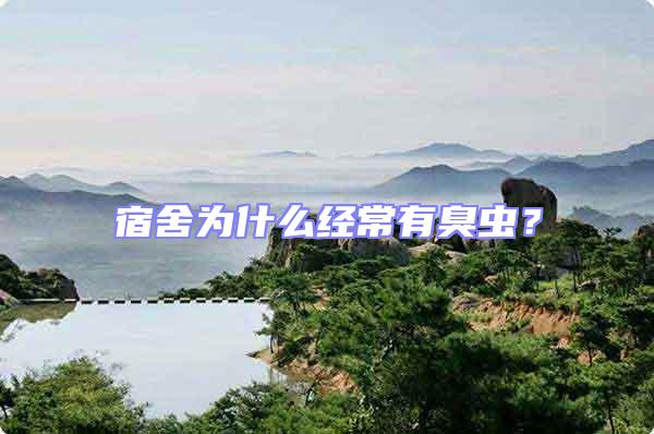 宿舍為什么經常有臭蟲？