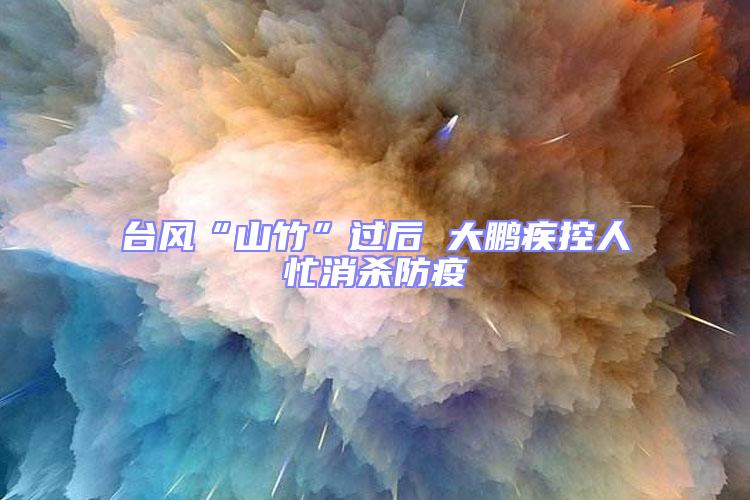 臺風“山竹”過后 大鵬疾控人忙消殺防疫
