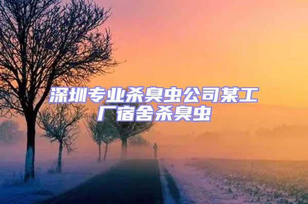 深圳專業殺臭蟲公司某工廠宿舍殺臭蟲