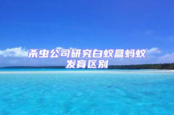殺蟲公司研究白蟻盒螞蟻發育區別