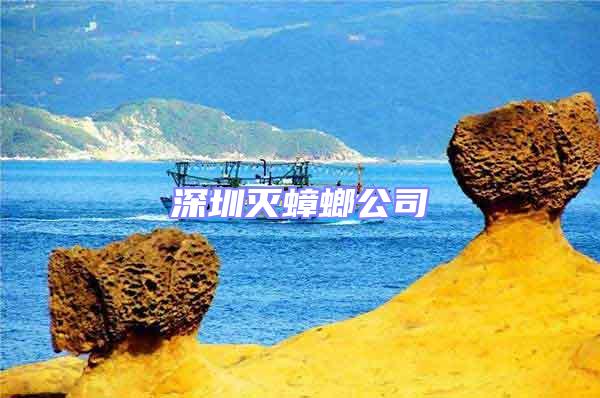 深圳滅蟑螂公司