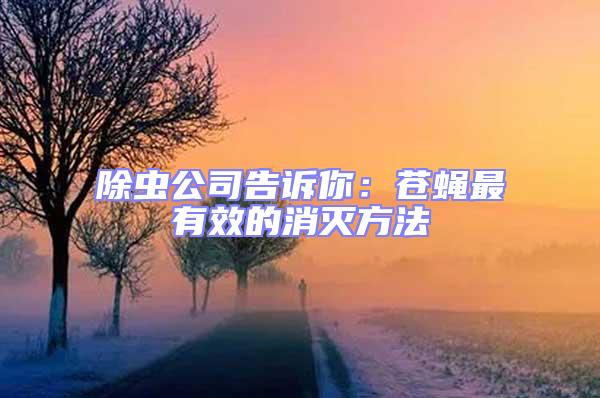 除蟲(chóng)公司告訴你：蒼蠅最有效的消滅方法