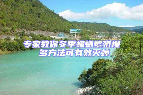 專家教你冬季蟑螂繁殖慢 多方法可有效滅蟑