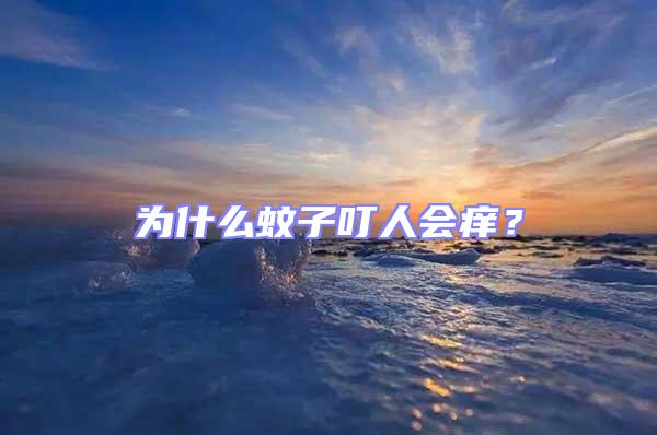 為什么蚊子叮人會癢？