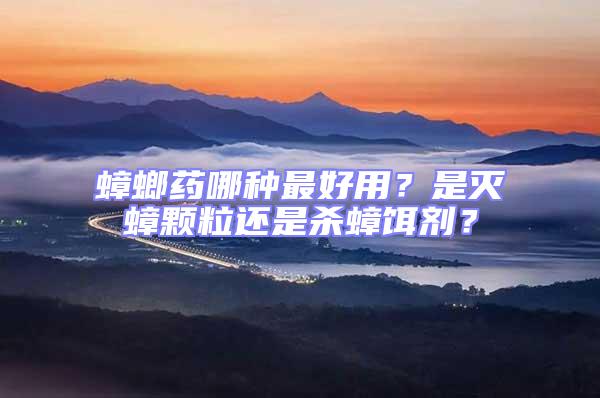 蟑螂藥哪種最好用？是滅蟑顆粒還是殺蟑餌劑？