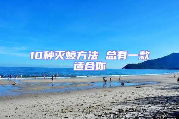 10種滅蟑方法 總有一款適合你