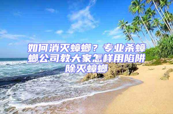 如何消滅蟑螂？專業殺蟑螂公司教大家怎樣用陷阱除滅蟑螂