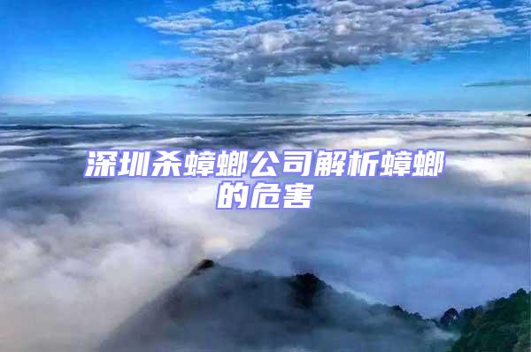 深圳殺蟑螂公司解析蟑螂的危害