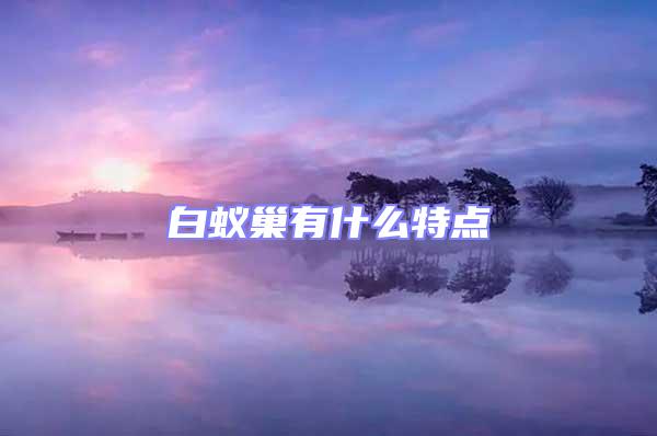 白蟻巢有什么特點