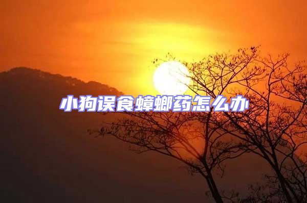 小狗誤食蟑螂藥怎么辦
