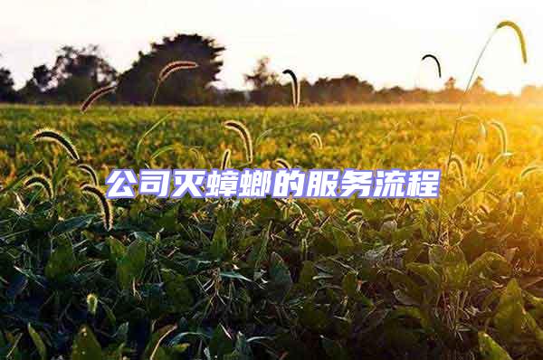 公司滅蟑螂的服務流程