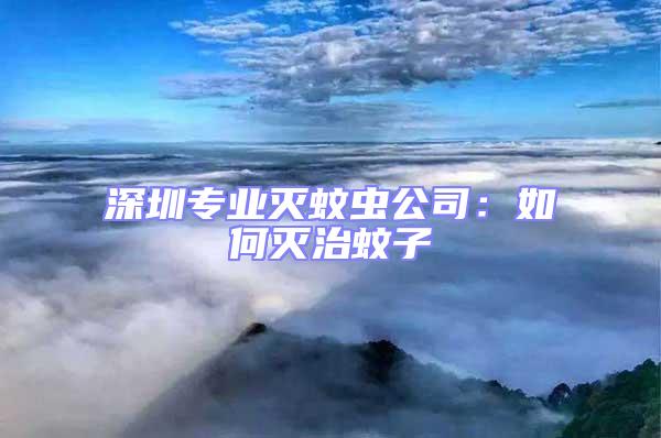 深圳專業滅蚊蟲公司：如何滅治蚊子