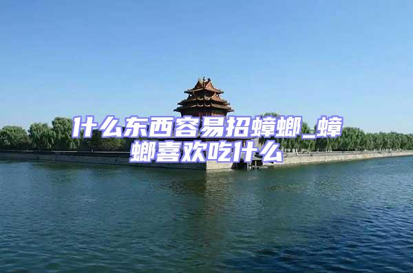 什么東西容易招蟑螂_蟑螂喜歡吃什么