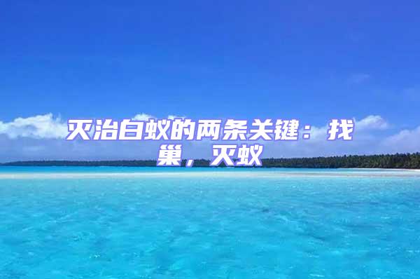 滅治白蟻的兩條關鍵：找巢，滅蟻