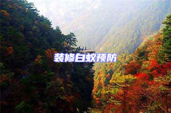 裝修白蟻預防