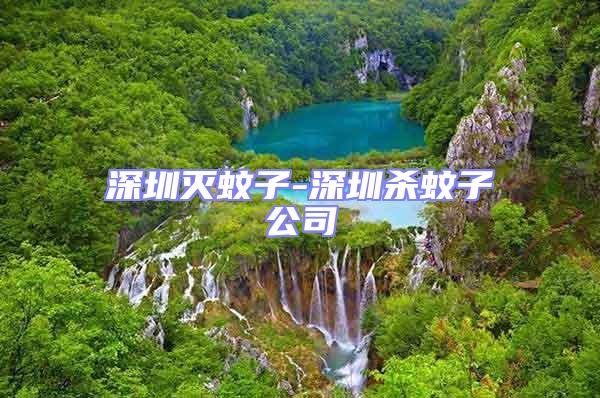 深圳滅蚊子-深圳殺蚊子公司