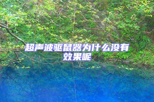 超聲波驅鼠器為什么沒有效果呢