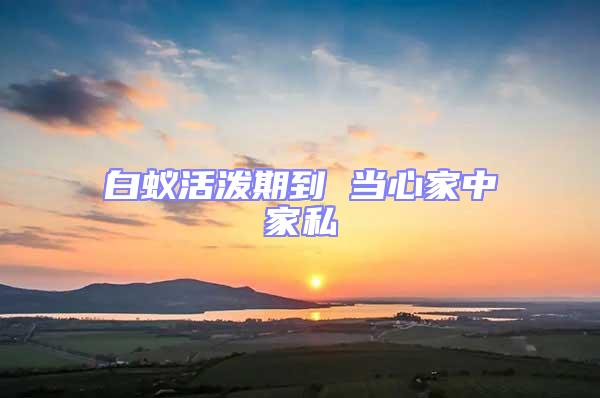 白蟻活潑期到 當心家中家私
