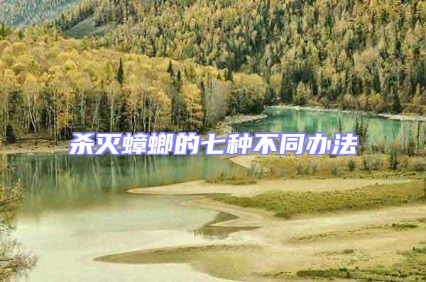 殺滅蟑螂的七種不同辦法