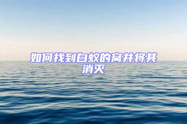 如何找到白蟻的窩并將其消滅