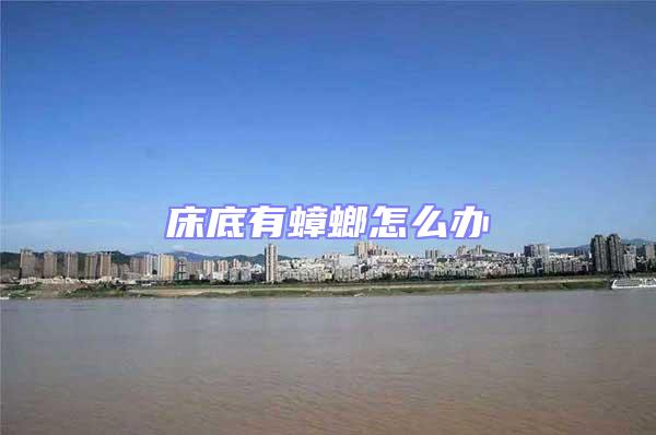 床底有蟑螂怎么辦