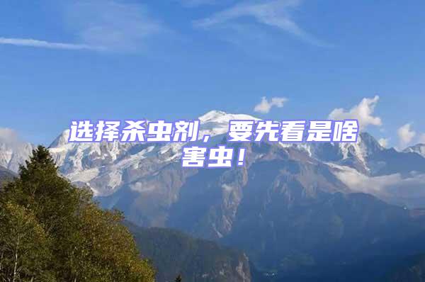 選擇殺蟲劑，要先看是啥害蟲！