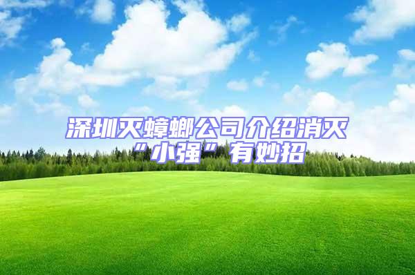 深圳滅蟑螂公司介紹消滅“小強”有妙招