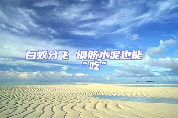 白蟻分飛 鋼筋水泥也能“吃”