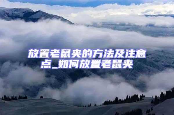 放置老鼠夾的方法及注意點_如何放置老鼠夾