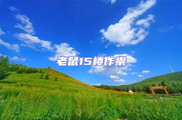老鼠15樓作祟