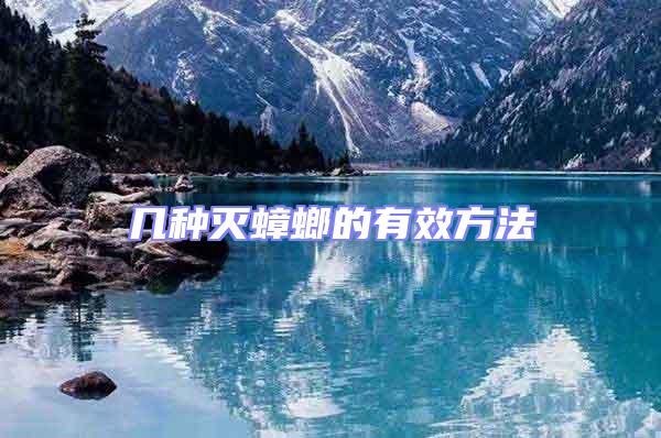 幾種滅蟑螂的有效方法