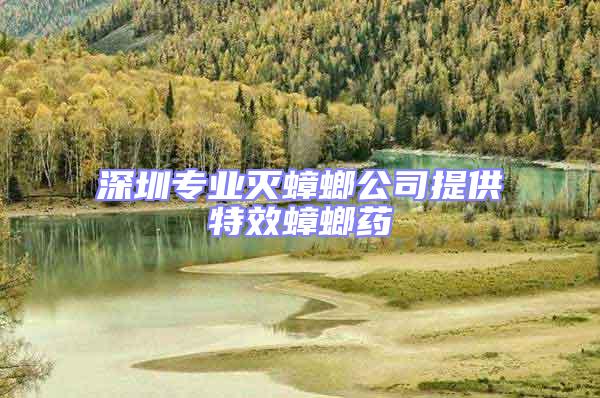 深圳專業滅蟑螂公司提供特效蟑螂藥
