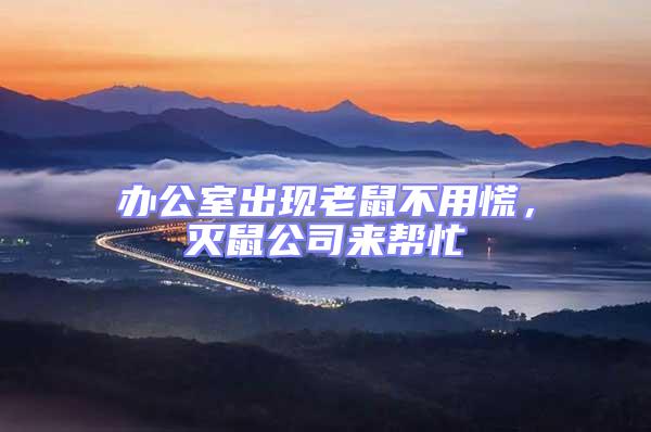 辦公室出現老鼠不用慌，滅鼠公司來幫忙