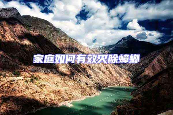 家庭如何有效滅除蟑螂