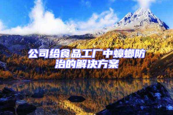 公司給食品工廠中蟑螂防治的解決方案