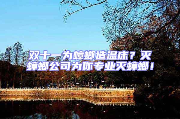雙十一為蟑螂造溫床？滅蟑螂公司為你專業滅蟑螂！