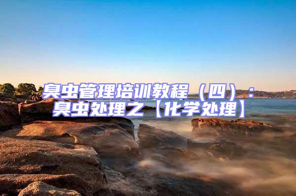 臭蟲管理培訓教程（四）：臭蟲處理之【化學處理】