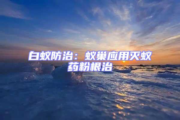 白蟻防治：蟻巢應(yīng)用滅蟻藥粉根治