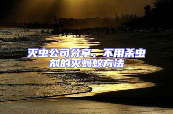 滅蟲公司分享，不用殺蟲劑的滅螞蟻方法