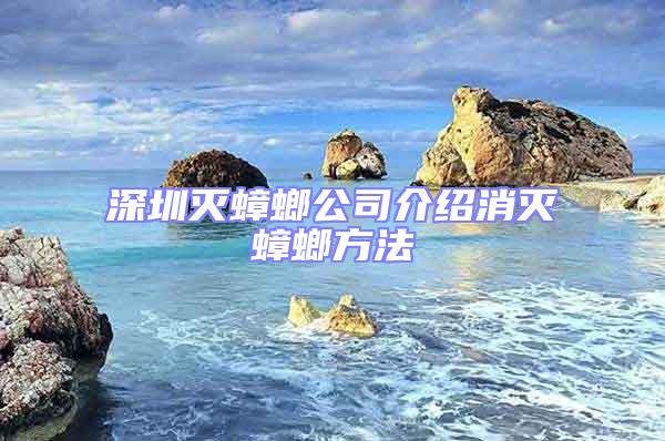 深圳滅蟑螂公司介紹消滅蟑螂方法