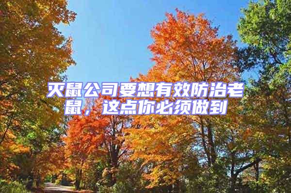 滅鼠公司要想有效防治老鼠，這點你必須做到