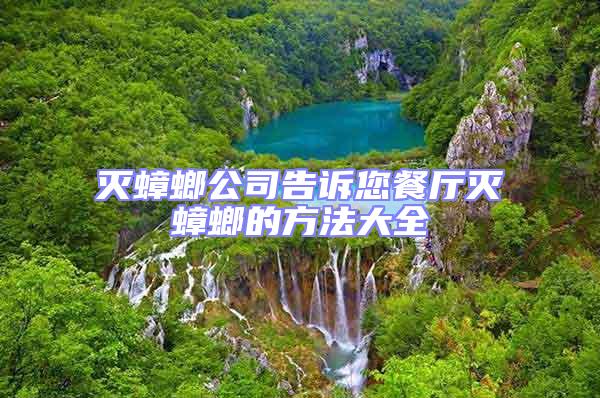 滅蟑螂公司告訴您餐廳滅蟑螂的方法大全
