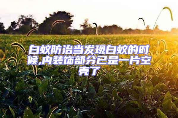 白蟻防治當發現白蟻的時候,內裝飾部分已是一片空殼了
