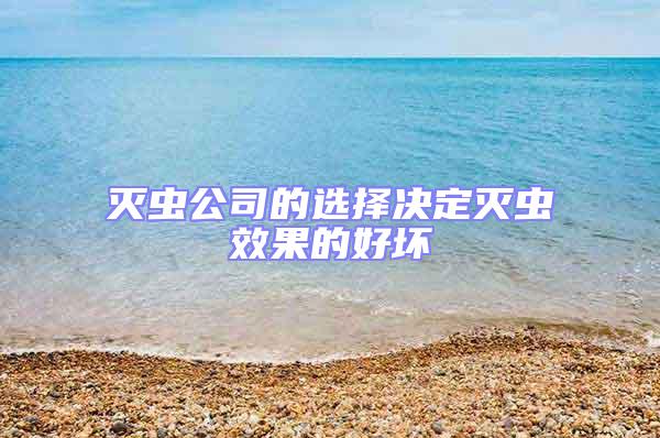 滅蟲公司的選擇決定滅蟲效果的好壞