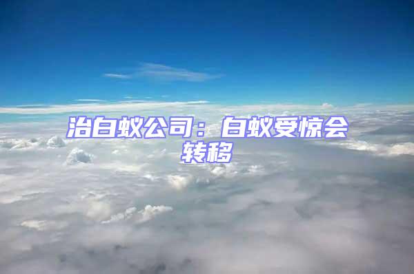 治白蟻公司：白蟻受驚會轉移
